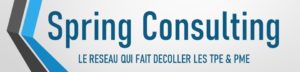 Logo Spring Consulting