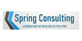 RESEAU SPRING CONSULTING